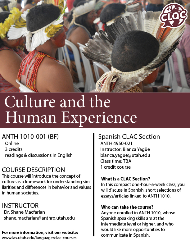 Culture and the Human Experience